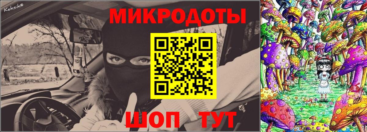Псилоцибиновые грибы Cubensis Прохладный