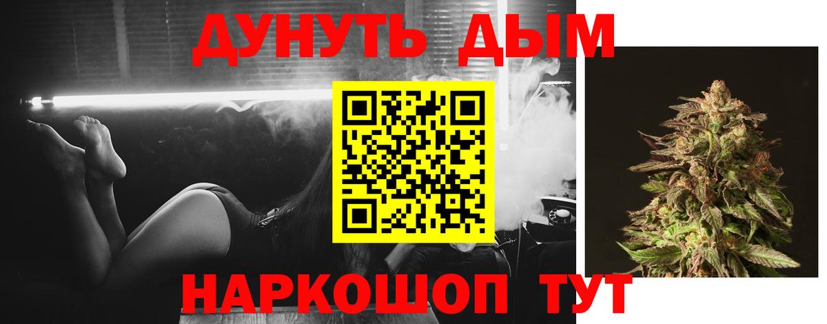 Прохладный  Бошки марихуана план  Бошки марихуана White Widow  Шишки марихуана ГИДРОПОН  Вход с VPN 